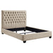 Chloe Queen Beds - Bargain Furniture (Detroit, MI)