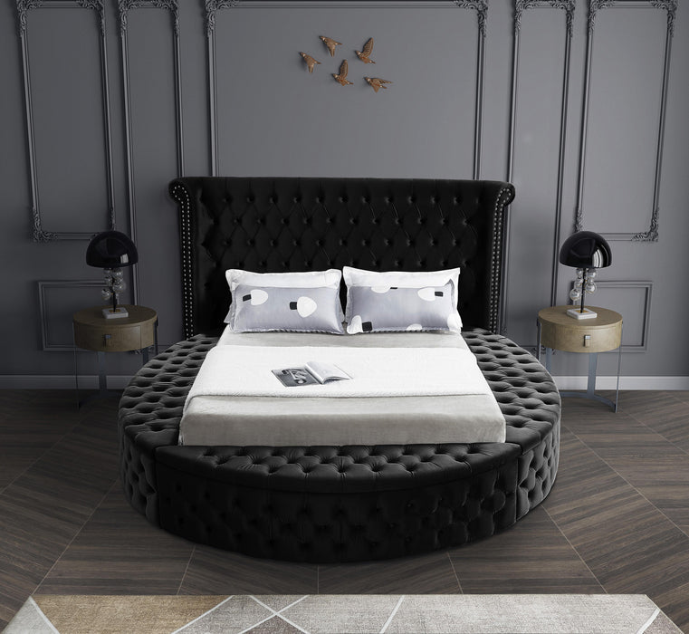 Luxus Black Velvet Queen Bed (3 Boxes) - Bargain Furniture (Detroit, MI)