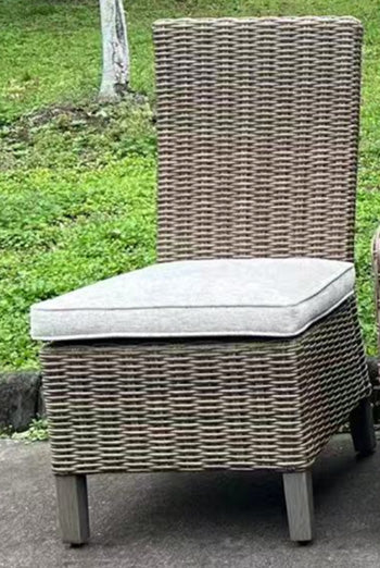 Laguna Heights Side Chair with Cushion (Set of 2) - Bargain Furniture (Detroit, MI)