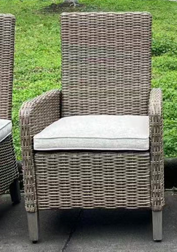 Laguna Heights Arm Chair with Cushion (Set of 2) - Bargain Furniture (Detroit, MI)